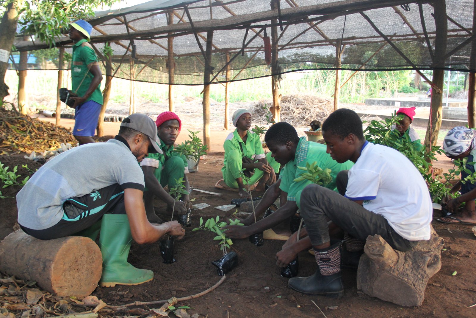 Apprentissage pratique en agriculture au Centre Songhaï
